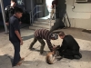 Todd & K9