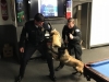 K9 attacking