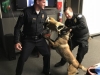 K9 attacking